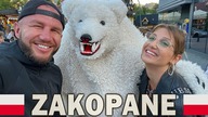 Ruszamy w góry szukać misia - ZAKOPANE !