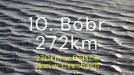Top 10 najdłuższych rzek w Polsce