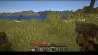 When did they come? #minecraft #game #bruh #games