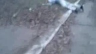 Ruska mafia