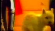 MOWA 2 - REKLAMY I ZAPOWIEDZI 20. 11. 2000