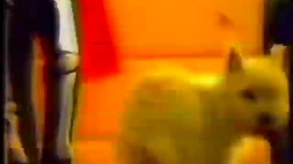 MOWA 2 - REKLAMY I ZAPOWIEDZI 20. 11. 2000