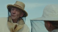 Mr.  Holmes 2015 Sherlock