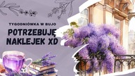 To sobie zaplanowałam zakupy | Druga tygodniówka listopada w bullet journal | Weekly [autopromocja]