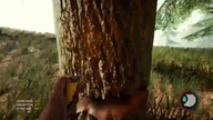 Budujemy bazę - The Forest Live #1 cz. 2/2