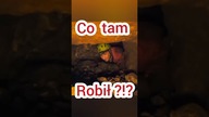  Co ja tu robię? / What am I doing here #jaskinia #cave #caving #cavinggonewrong #ciekawostki