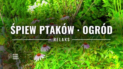 Śpiew Ptaków w Ogrodzie · Na Relaks i Koncentrację
