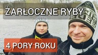 293 ŻARŁOCZNE RYBY - 4 PORY ROKU