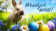 Jubileuszowe bitwy #344 - Najlepsze randomowe arty :)