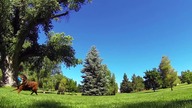 52 kamerki GoPro na chwilę zatrzymały czas