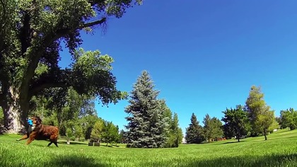 52 kamerki GoPro na chwilę zatrzymały czas