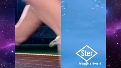 Nederland 2 compilatie leaders (2003-2006)