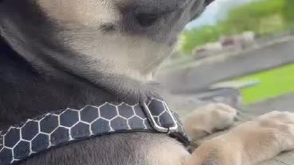 89b5c843-5b8a-462c-bc4a-f65e9b0a9242