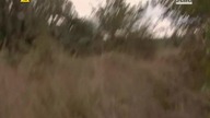 S04E04 - Nieśmiertel... info v