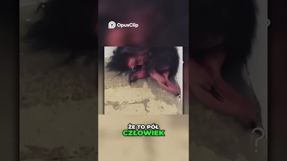 Tajemnicza Hybryda Człowiek czy Zwierzę Mroczna Genetyczna Anomalia