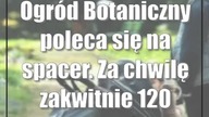 Ogród Botaniczny poleca się na spacer.  Za chwilę zakwitnie 120 tulipanów