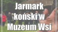 Jarmark koński w Muzeum Wsi Lubelskiej