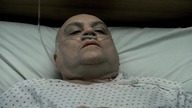 S0pran0s8.  S06E14.  MULTi.