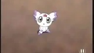 Digimon Tamers czołówka Niemiecka