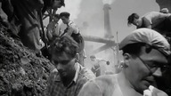 Lecą żurawie 1957 lektor pl