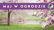 Maj w OGRODZIE vlog - jakie prace wykonać w ogrodzie ?