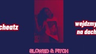CHEATZ - WEJDŹMY NA DACH SLOWED AND PITCH