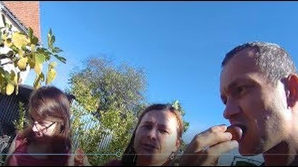 Odc-516-Cz nr 2 - Swoje figi z ogródka.  Subskrybuj.  Dziękujemy :)