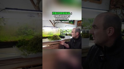 Restartować czy nie?  Dowód, że PROSTE akwarium działa!