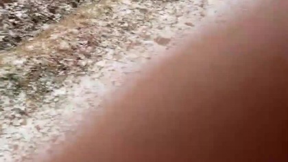 Skrzydlata Kompanija nadaje na żywo