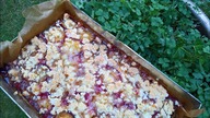 SZARLOTKA ZE ŚLIWKAMI MOJEJ MAMY
