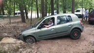 Knur wpadł Clio do dziury w lesie