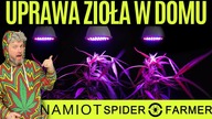 Tani GROWBOX do uprawy SPIDER FARMER | Unboxing i budowa #WeedWeek