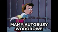 Romek o autobusach wodorowych w Wałbrzychu