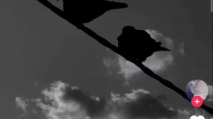 jeżeli kogoś kochasz #snow #dance #music