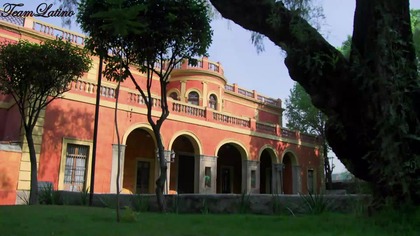 Corazón Guerrero 066 NAPISY PL