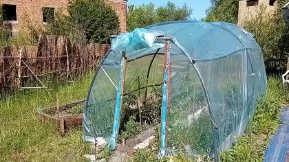 Żeby uniknąć cięcia materiału (lenistwo) miski lęgowe przykręciłem do ściany w rogach gołębnika.

Zapraszam do wsparcia
https://buycoffee.to/inicjatywy-eko-fus