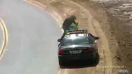 Reakcja motocyklisty na patrol