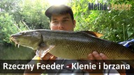 Rzeczny Feeder - Ogromne klenie, brzana i smażona kiełbocha .  Koszyk i bombka