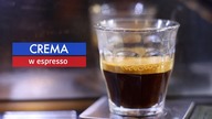 Czym jest crema na espresso? Czy świadczy o jakości kawy? Czajnikowy.pl