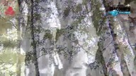 Smolensk nieopublikowany film o katastrofie