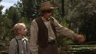Roczniak (1946) Lektor pl
