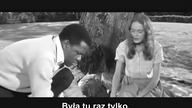 W cieniu dobrego drzewa 1965 napisy pl