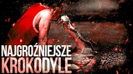 10 NAJWIEKSZYCH KROKODYLI