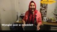 Wyngiel przywieźli ...  lektorzy pl... ///...