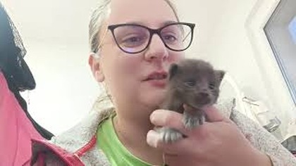 Miał być a go nie ma