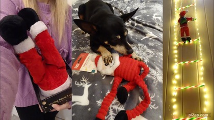 Vlogmas 10  Nogi Mikołaja i drabina haul dekoracji świątecznych