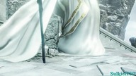 Old King Allant NG+7 - Boss Fight - Demons Souls Remake