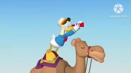 Donald Duck gets chasing the Camel
