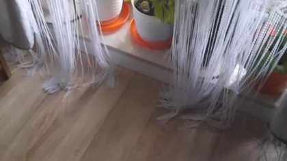 Sprawdzamy poparcie Premiera Tuska (ankieta)