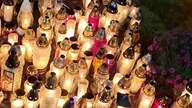 Wszystkich Świętych 2025  | All Saints Day 2025 #shorts